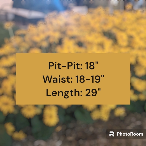 (174) NWT Wilfred Silk Dress - Picture 10 of 10